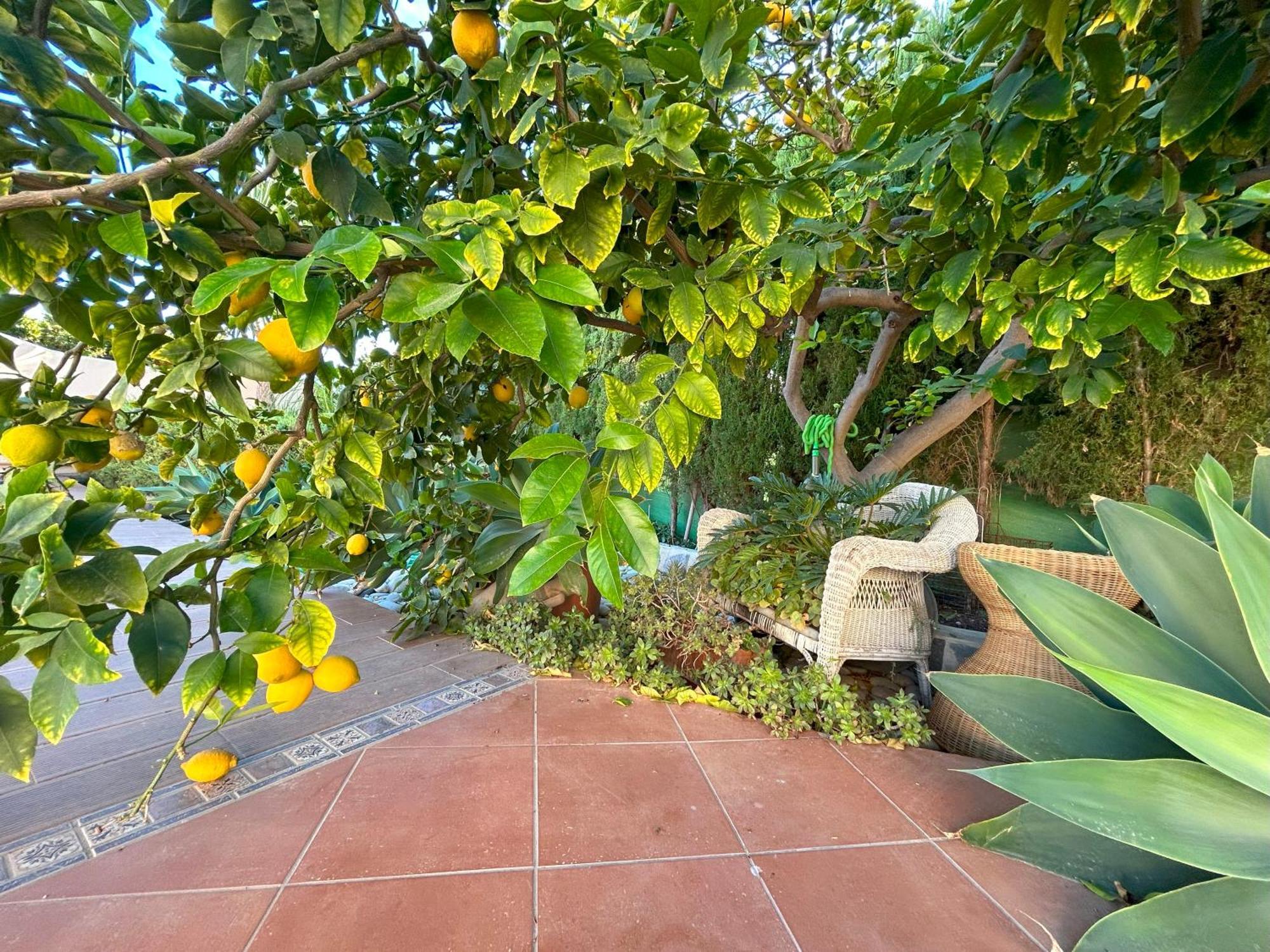 Casa Luna Llena Calpe Exterior foto